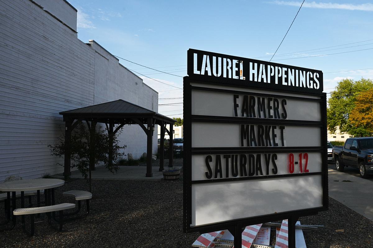 In Laurel, details thin about proposed state-run mental health facility