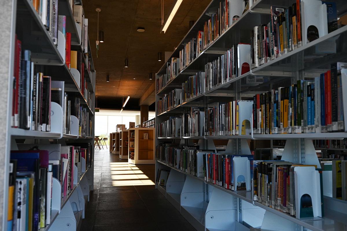 Your favorite Montana-based author may be owed money as part of a $1.5 billion AI company settlement 