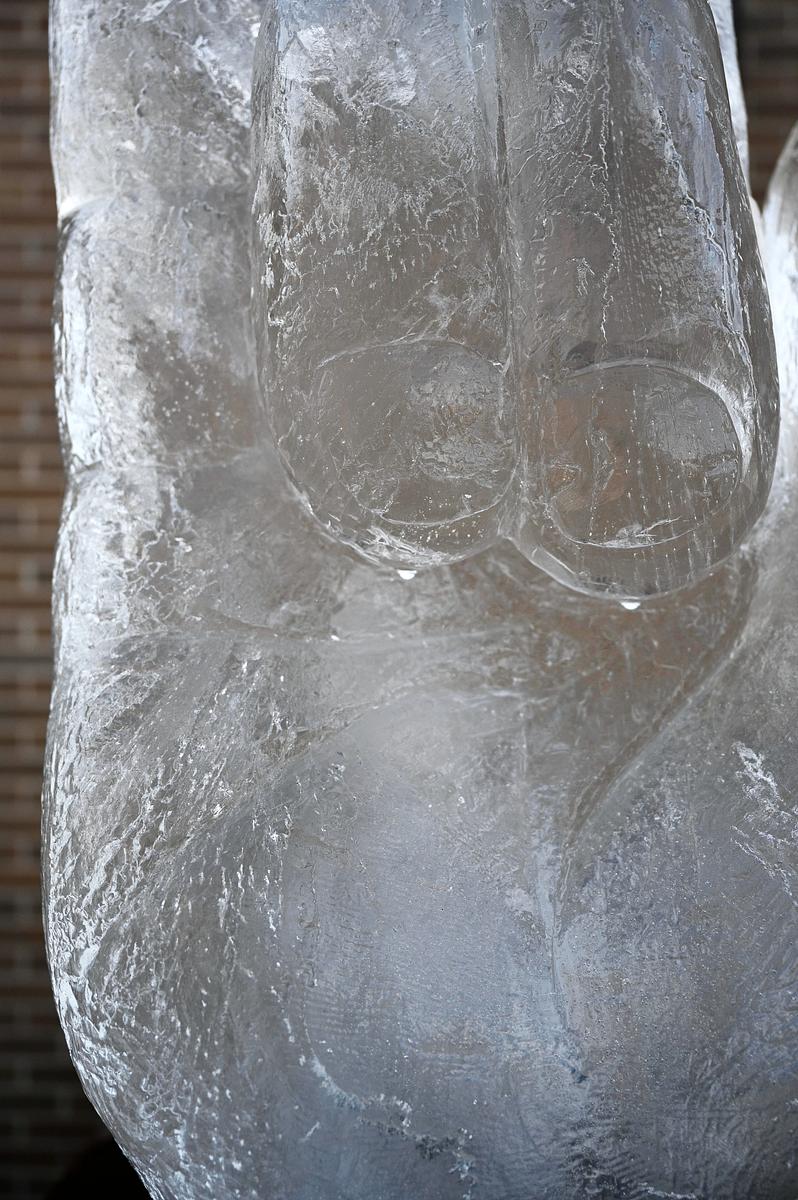 Lauren Miller, Montana Free Press, CatchLight Local/Report for America