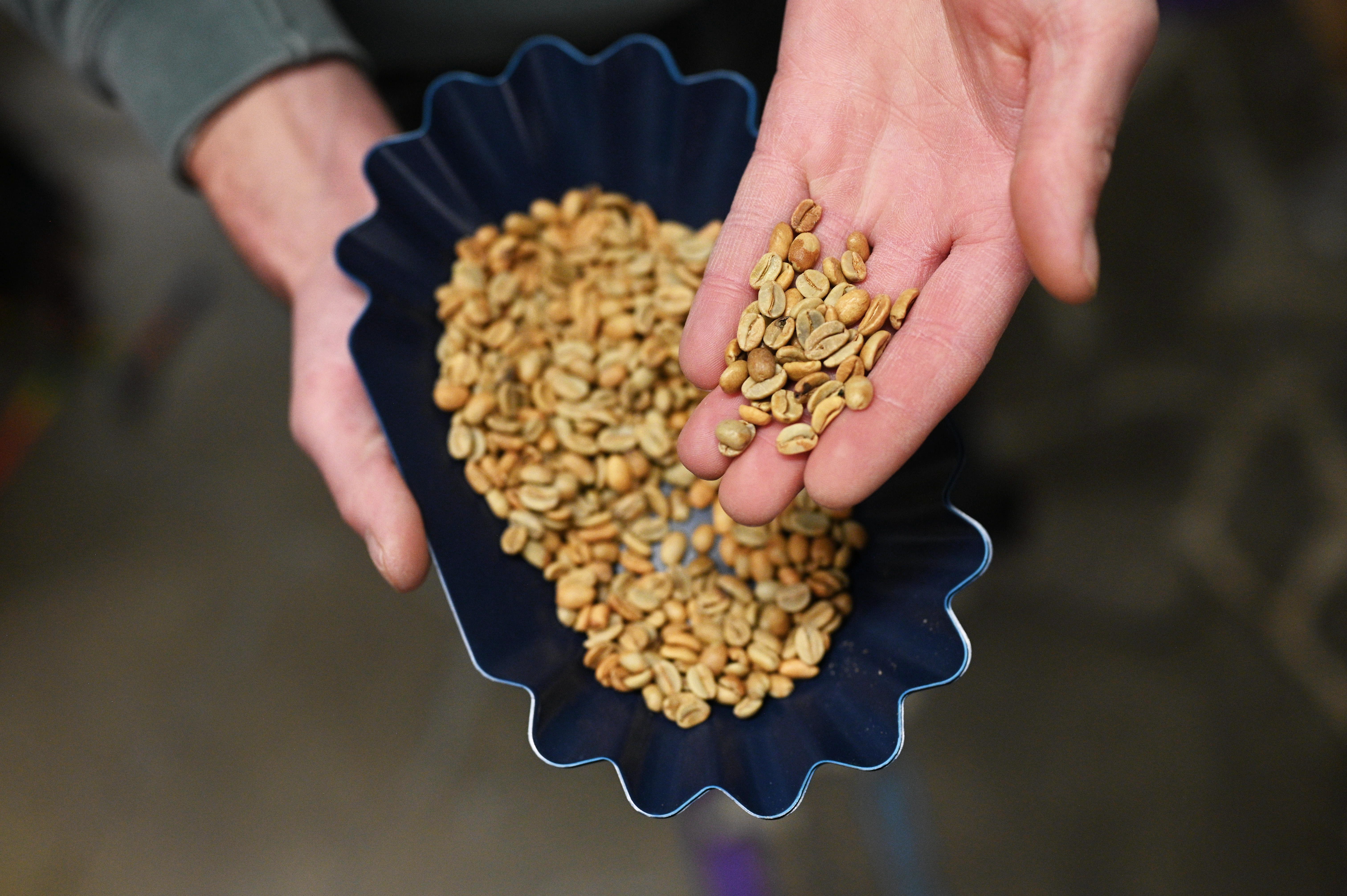 How Trump tariffs jolted Montana coffee roasters