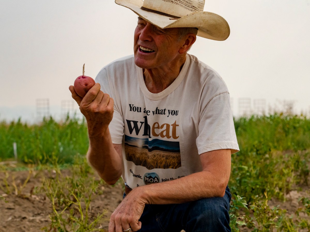 Common Ground, Part II: Building on soil in Big Sandy