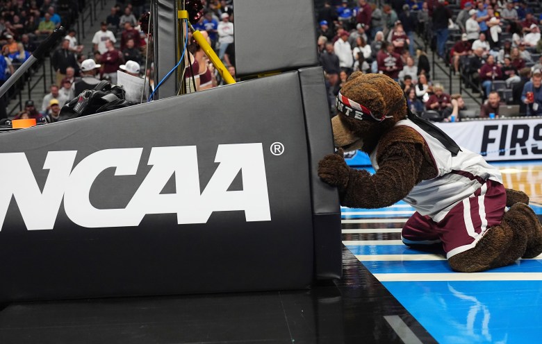 A mascot on a basketball court.