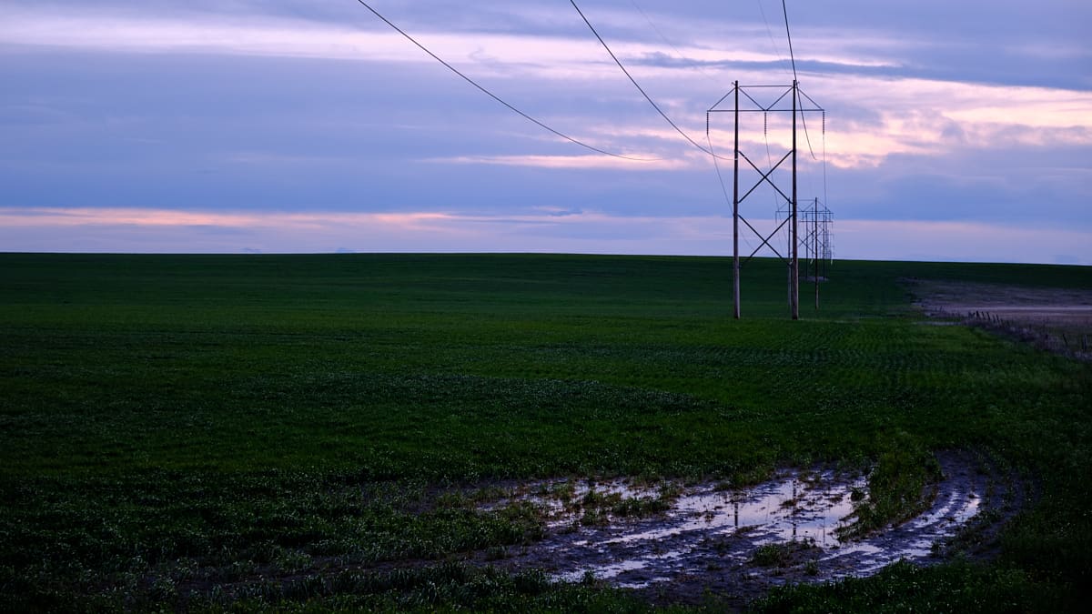 Montana ag producers expect challenges with Trump’s new tariffs 