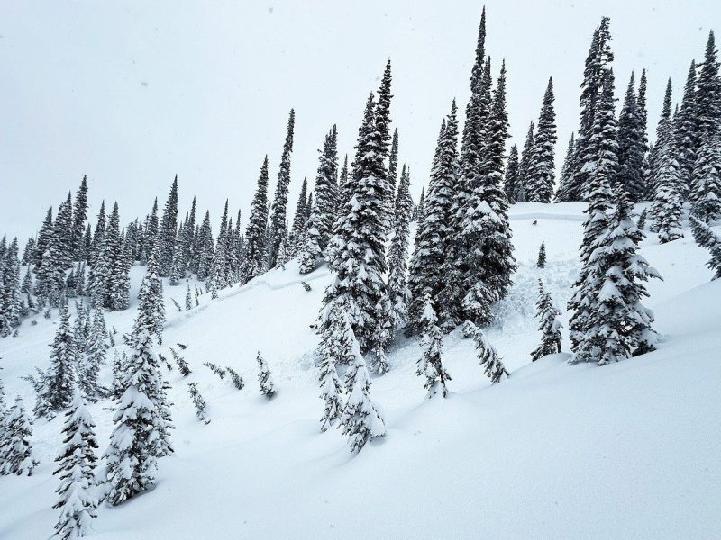 Avalanche forecasters warn of ‘considerable’ slide risks after late-winter storm