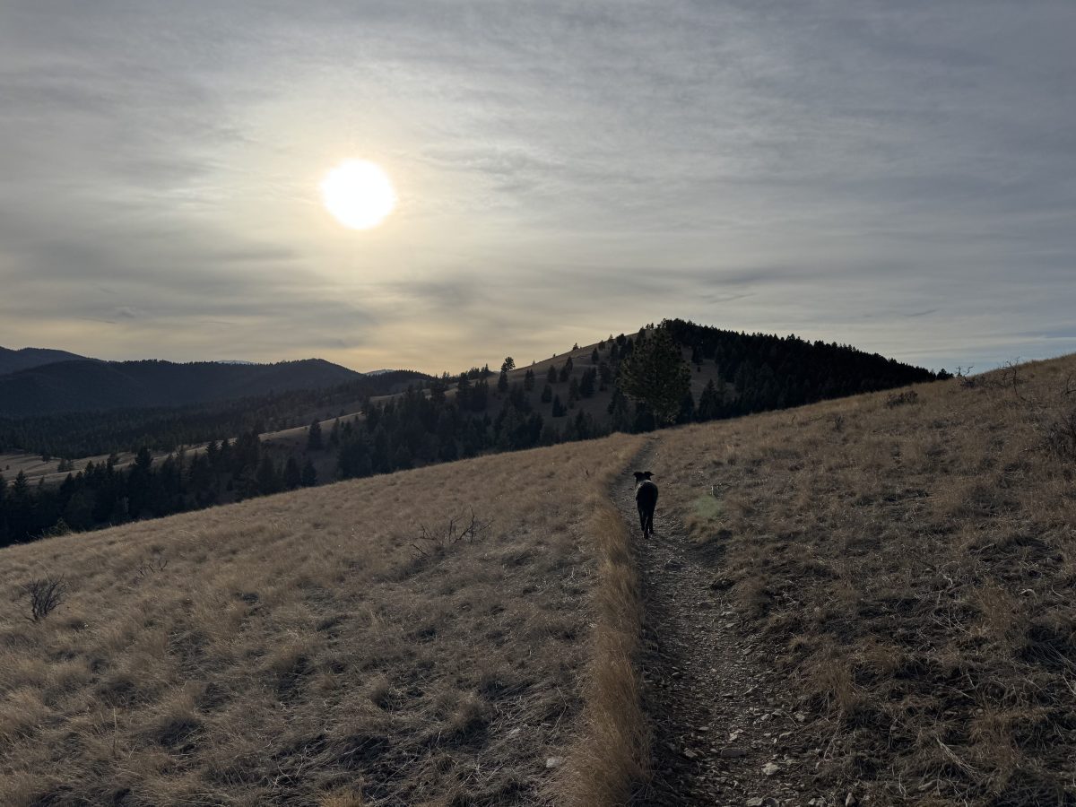 Many Montana cities record historically warm winter temperatures