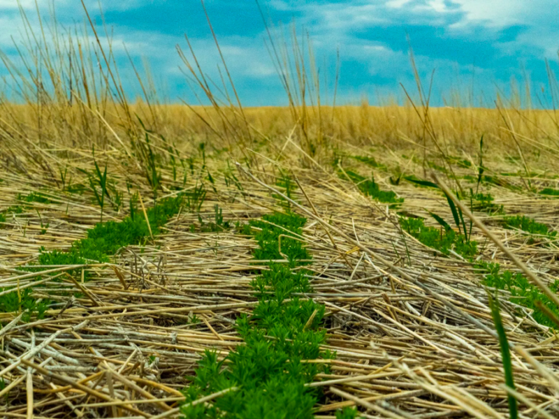 Common Ground, Part I: ‘Soil is our livelihood and we better protect it, or we’re screwed.’