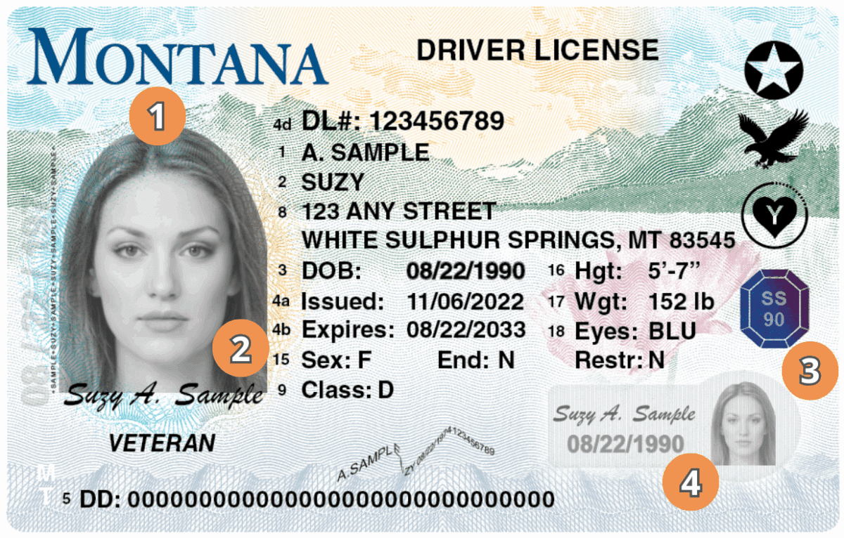 Judge orders Montana DMV to issue driver’s license to youth who applied as nonbinary