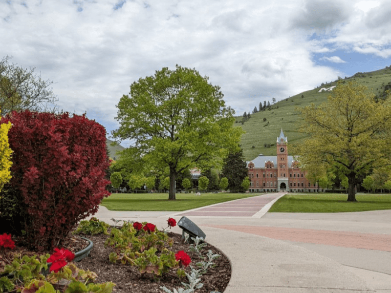 The University of Montana in Missoula.