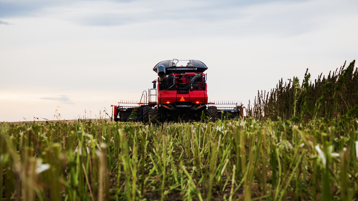 Tester introduces bipartisan bill to deregulate industrial hemp